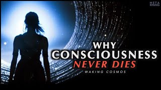 Why Consciousness is Immortal | The Philosophical Proof of Life After Death