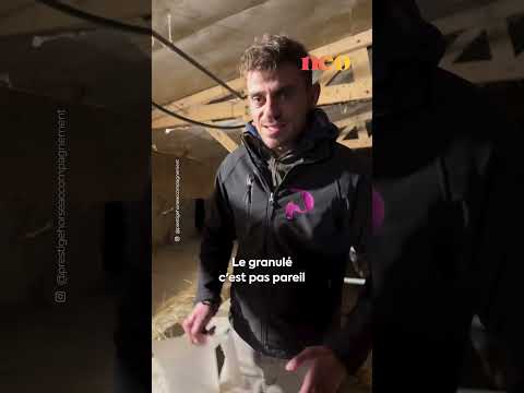 Il explique une ancienne technique à base de sel pour aider les juments à ramasser leur poulain