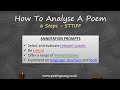 Poem Analysis Techniques and Themes