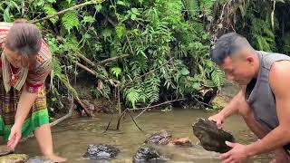 Memanen Ikan Dalam Lubang & Memanen Sarang Lebah & Keterampilan Bertahan Hidup Teknologi Primitif