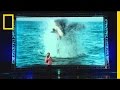 Sharkfest Event Analysis