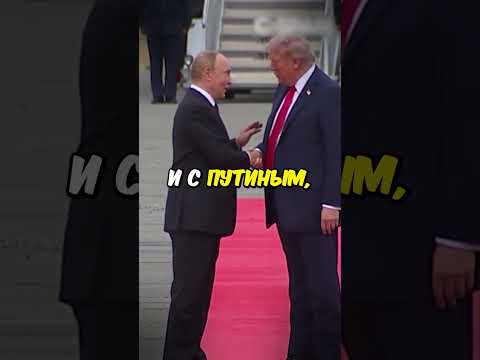 Трамп Любит Путина? ❤️