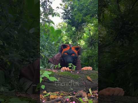 Explore my den with me 🐾🪲🌀 #therian #quadrobics #nature #fox #wolfwalkers (Phenicfox)