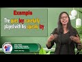Adjectives and Adverbs in Sentences