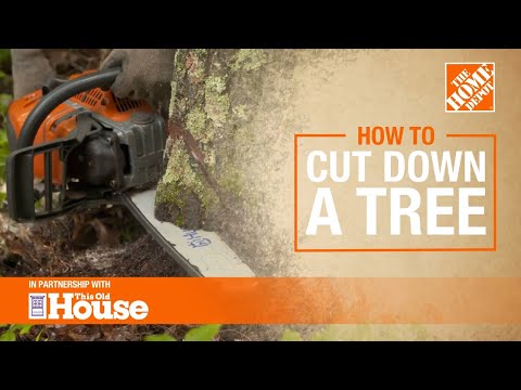 How to Cut Down a Tree
