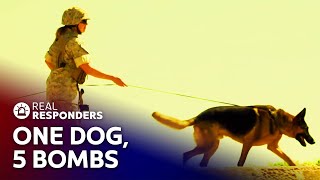 Iraq Marine & K-9 Survive The Worst Ambush