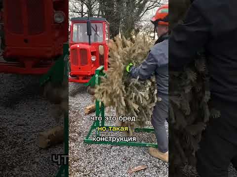 Современный козел