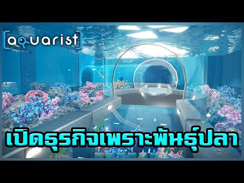 Aquaristเปิดธุรกิจเพราะพันธ์ุปลาเกมดีมาก!