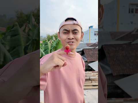 Asep Punya Cincin Stroberi 🍓