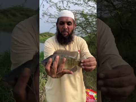 Village fishing video #shortvideo #fishing #fish #short