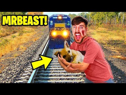 7 YouTubers Who SAVED ANIMALS LIVES! (MrBeast, SSSniperwolf)