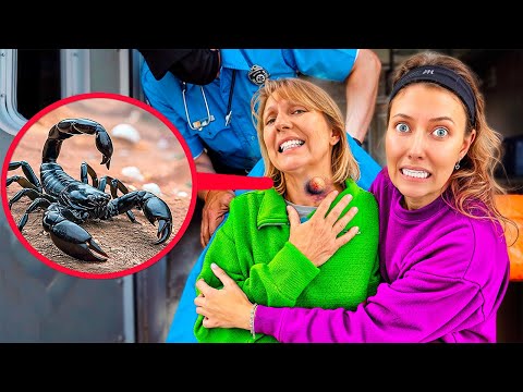 Scorpion ATTACKED my MOM!!! will she be OKAY…