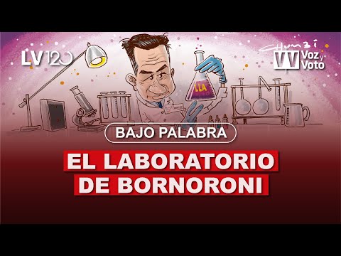 Agustín Laje, ¿candidato o intelectual? Y el laboratorio de Bornoroni I Bajo Palabra en Voz y Voto