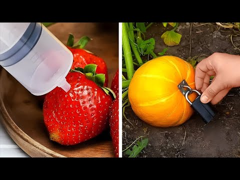 Gardening hacks to Grow your Own Fresh Food
