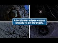 Exploring Solar Eclipses and Their Effects