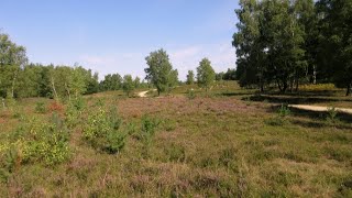 Teverener Heide