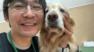 僕は老いた愛犬と共に