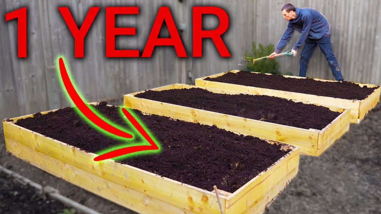 How Much Food Can I Grow in 1 Year?