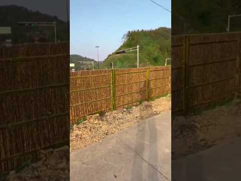 How To Make A Beautiful Bamboo Fencing 😱😱 #shorts #shortsfeed #viral