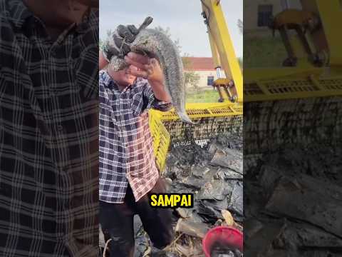 Cari ikan sambil bersihin sungai, ternyata ๐ฒ