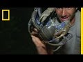 Coconut Crab Hunting in the South Pacific