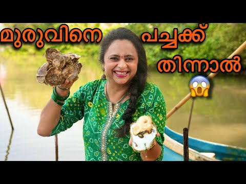 മുരുവിനെ പച്ചക്ക് തിന്നാൽ😱 | Muru Fry, Muringa Irachi Roast, Oyster Recipe, How To Clean Muru