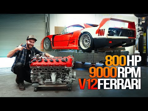 Ferrari Enzo V12 on Steroids! The ULTIMATE Engine for my F40!