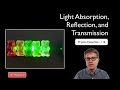 Exploring Light Behavior: Absorption, Reflection, and Transmission