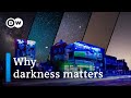 Effects of Artificial Light