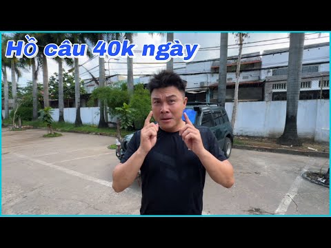 ✅ Test cần câu cá rẻ 6h 180k vs 5h 120k ở cái hồ 40k Sài Gòn | DUY FISHING