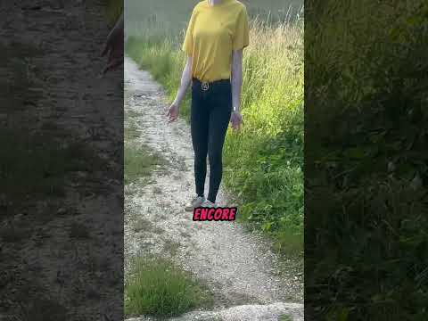 Elle caresse mon chien sans DEMANDER ! #k9 #malinois #dogshorts #chien #miseenscene #animaux