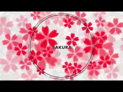 【Karaoke】Sakura【on vocal】nakano4