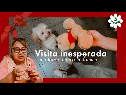 ¿Picolino se salvó del cáncer? | Una tarde atípica en familia ❤️ | Esto es lo más bonito de Lima 🇵🇪