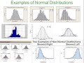 Data Visualization and Frequency Distributions