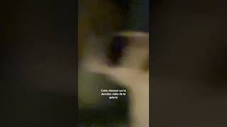 Qu’est-ce qu’elle fait 😂♥️