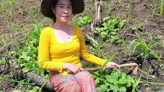 A girl eats fish in the fields with her family.