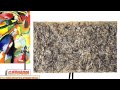 Explorations in 20th Century Art