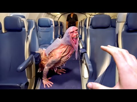 this CREATURE snuck onto my plane