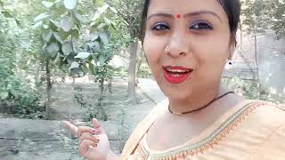 vlog video