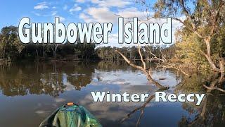 Gunbower Island Winter Reccy | Gunbower Creek| Pelican Catch 110 HDII Kayak  Fishing