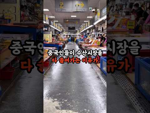 중국인들이 수산시장을 다 쓸어가는 이유가 소름 돋아요
