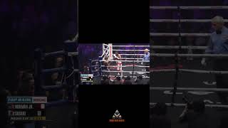 Brain Norman jr Boxing Highlights
