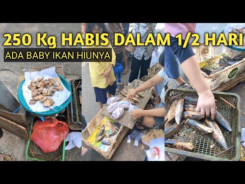 LUAR BIASA SETENGAH HARI TERJUAL 250 KG IKAN PADAHAL JUALNYA DI PINGGIR JALAN, ADA IKAN HIUNYA JUGA