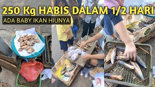 LUAR BIASA SETENGAH HARI TERJUAL 250 KG IKAN PADAHAL JUALNYA DI PINGGIR JALAN, ADA IKAN HIUNYA JUGA