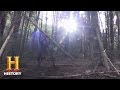 Understanding Time and Emotions in the Woods