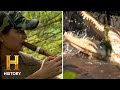 Alligator Hunting Strategies