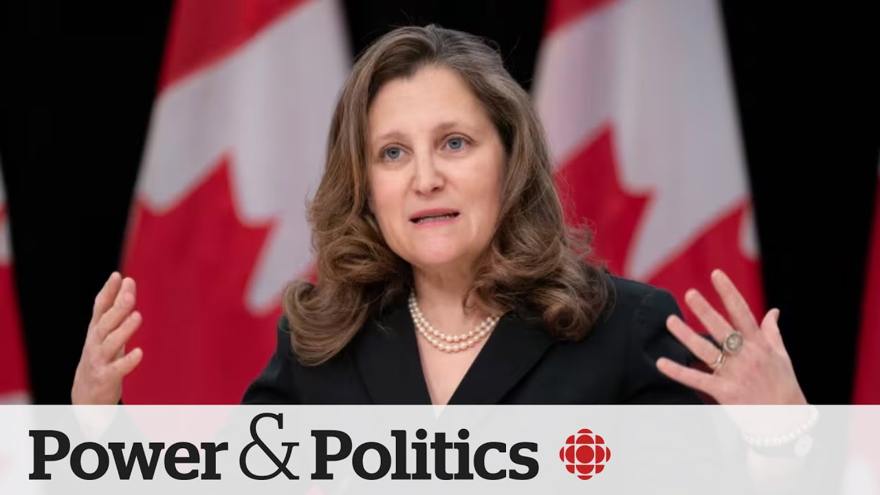 Political Pulse Panel: What can Canadians expect from the 2024 federal budget?
