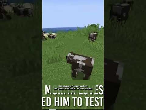 Лягушки пожирают мир... #short #doctor4t #идеи #концепты #перевод