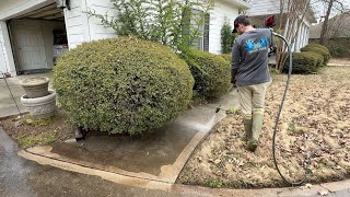 After BREAKING HER HIP, she deserved a SAFER driveway