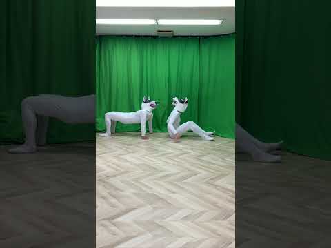 【Pulling④】#Schumacher #AGT #シューマッハ #芸人